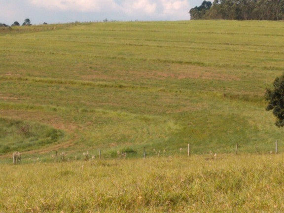 Imagem Chácara à Venda, 59 m² em Centro - Guareí Imagem Chácara à Venda, 59 m² em Centro - Guareí