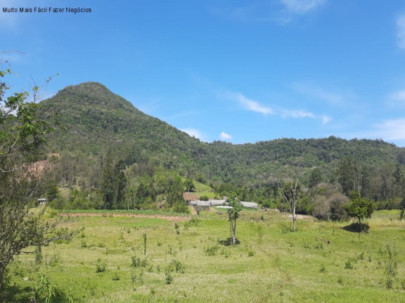 Imagem Terreno à Venda, 8 m² em Linha Temerária - Nova Petrópolis Imagem Terreno à Venda, 8 m² em Linha Temerária - Nova Petrópolis