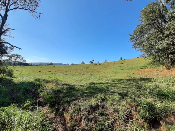 Imagem Chácara com 2 Quartos à Venda, 300 m² em Tanque Preto - Nazaré Paulista Imagem Chácara com 2 Quartos à Venda, 300 m² em Tanque Preto - Nazaré Paulista