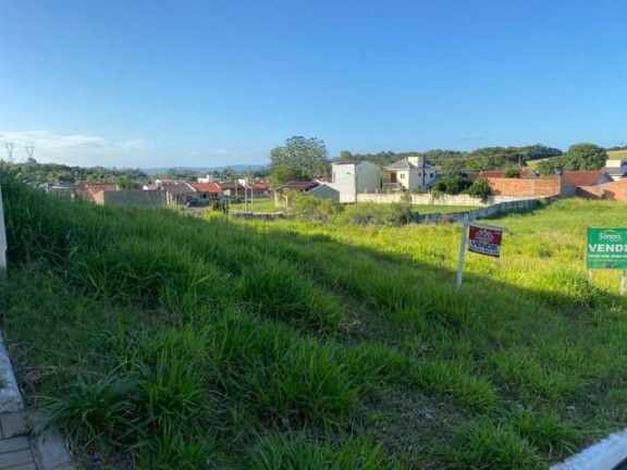 Imagem Terreno à Venda,  em Lomba Grande - Novo Hamburgo