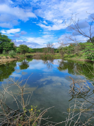 Imagem Imóvel à Venda, em Cumaru - Cumaru Imagem Imóvel à Venda, em Cumaru - Cumaru