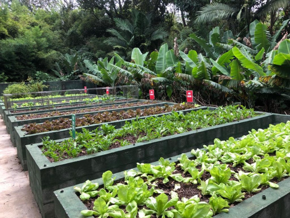 Imagem Imóvel com 3 Quartos à Venda,  em Granja Viana Ii - Cotia