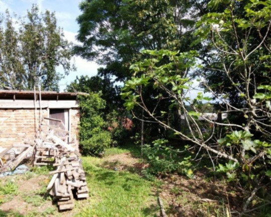 Imagem Casa com 2 Quartos à Venda, 120 m² em Centro - Nova Petrópolis