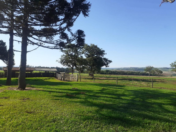 Imagem Fazenda à Venda, 174 m² em Rural - Itaporanga Imagem Fazenda à Venda, 174 m² em Rural - Itaporanga