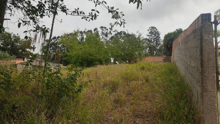 Imagem Chácara à Venda, 1 m² em Bosque Dos Eucaliptos - Araçoiaba Da Serra Imagem Chácara à Venda, 1 m² em Bosque Dos Eucaliptos - Araçoiaba Da Serra
