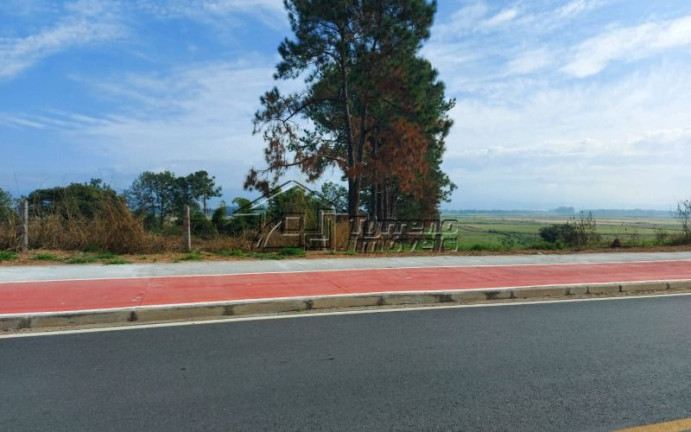 Imóvel à Venda, 39.000 m² em Quiririm  - Taubaté
