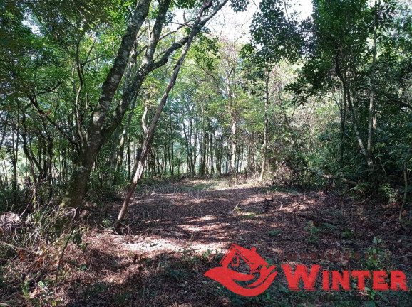 Chácara à Venda, 28 m² em Morro Gaúcho - Vale Real
