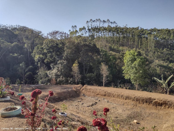 Imagem Chácara com 3 Quartos à Venda, 170 m² em Pocinhos Do Rio Verde - Caldas