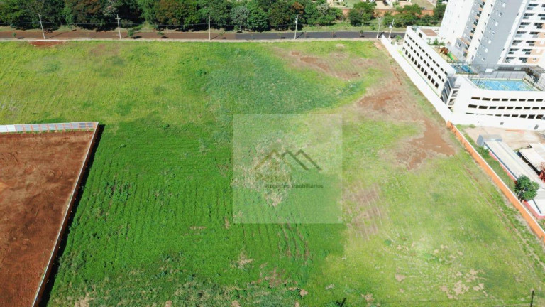 Terreno à Venda, 3.501 m² em Quinta Da Primavera - Ribeirão Preto