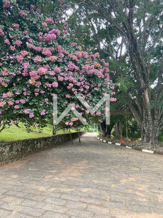 Imagem Fazenda à Venda, 1 m² em Ponte Alta - Bragança Paulista