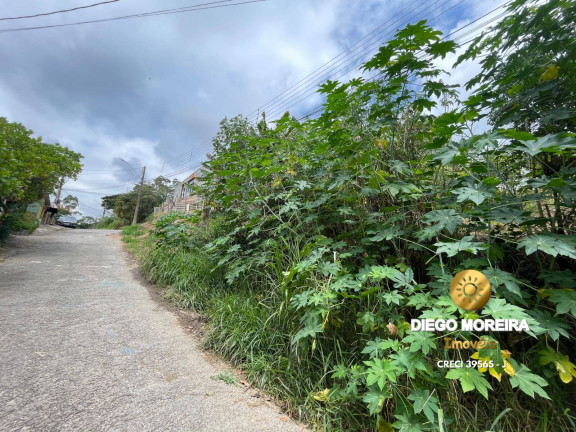 Imagem Terreno à Venda, 250 m² em Terra Preta (terra Preta) - Mairiporã