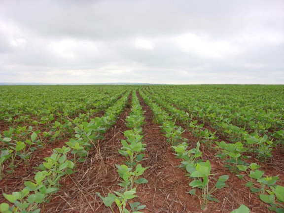 Imagem Fazenda à Venda, 1.614 m² em Rural - Paranhos Imagem Fazenda à Venda, 1.614 m² em Rural - Paranhos