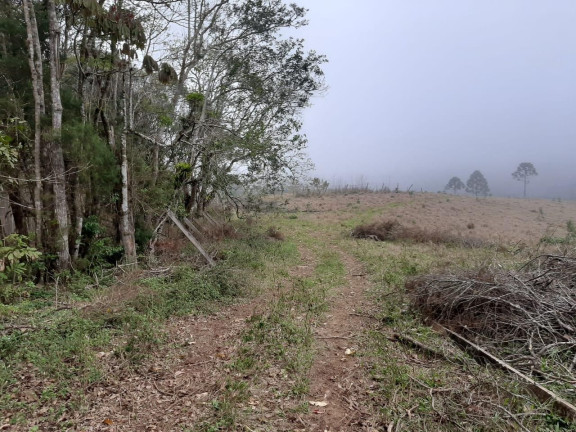 Imagem Fazenda à Venda, 20 m² em Campo Grande - Pilar Do Sul Imagem Fazenda à Venda, 20 m² em Campo Grande - Pilar Do Sul