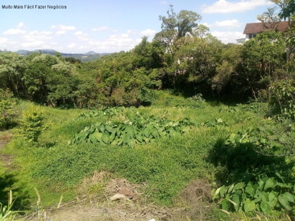 Imagem Terreno à Venda, em Vila Olinda - Nova Petrópolis Imagem Terreno à Venda, em Vila Olinda - Nova Petrópolis