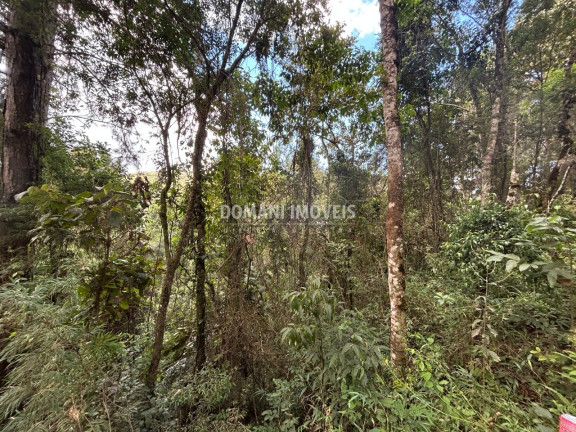 Imagem Terreno à Venda, 5.820 m² em Região Do Parque Da água Santa - Campos Do Jordão