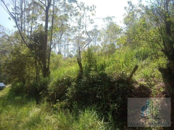 Imagem Terreno à Venda, 1.300 m² em Jardim Dos Eucaliptos - Suzano Imagem Terreno à Venda, 1.300 m² em Jardim Dos Eucaliptos - Suzano