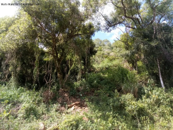 Imagem Terreno à Venda, 3 m² em Linha Pirajá Alta - Nova Petrópolis