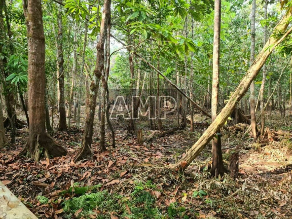 Imagem Terreno à Venda, 45.000 m² em Centro - Iranduba Imagem Terreno à Venda, 45.000 m² em Centro - Iranduba