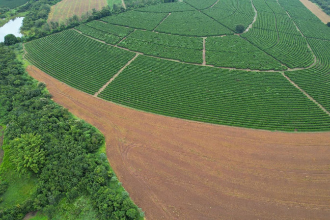 Imagem Fazenda à Venda, 48 m² em Zona Rural - Piumhi