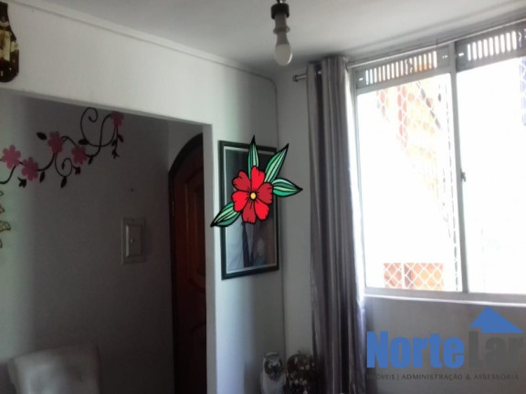 Imagem Apartamento com 2 Quartos à Venda, 52 m² em Jardim Antártica - São Paulo Imagem Apartamento com 2 Quartos à Venda, 52 m² em Jardim Antártica - São Paulo
