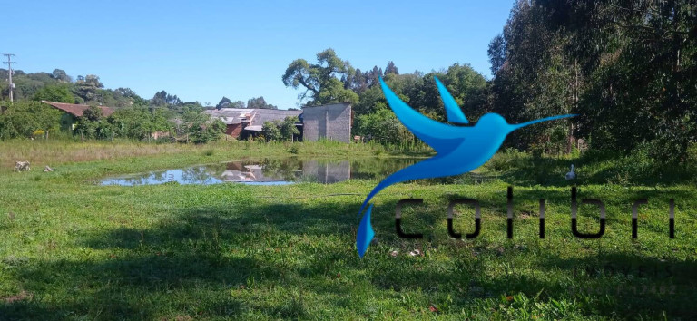 Imagem Chácara com 3 Quartos à Venda, 10.300 m² em Agua Clara - Quitandinha