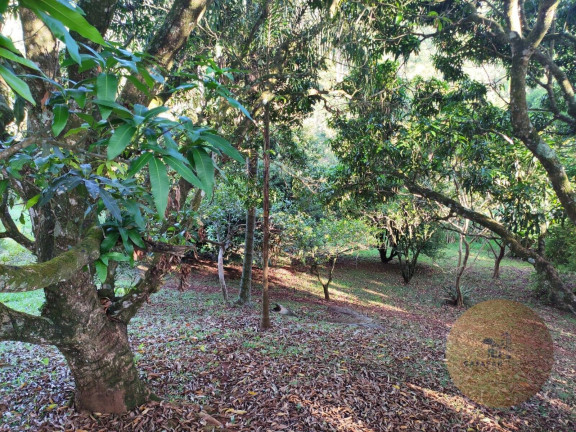 Imagem Chácara com 3 Quartos à Venda, 420 m² em Mairinque Imagem Chácara com 3 Quartos à Venda, 420 m² em Mairinque