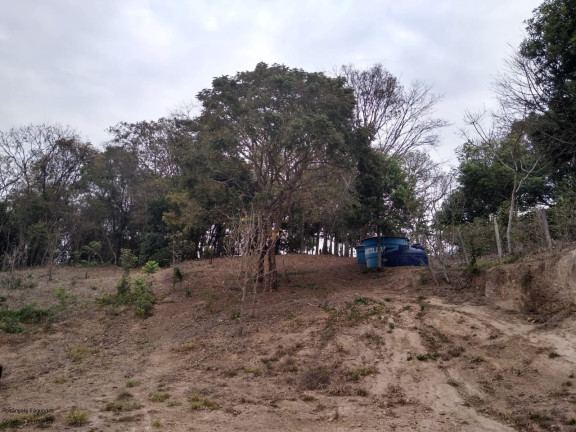 Imagem Imóvel com 6 Quartos à Venda, 300 m² em Laranjeiras - Caldas