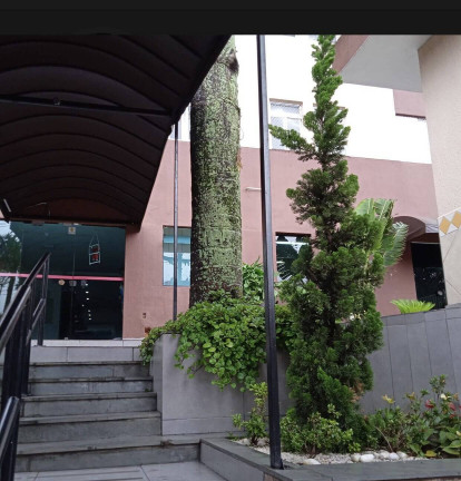 Imagem Apartamento com 1 Quarto para Alugar, 32 m² em Centro - Diadema