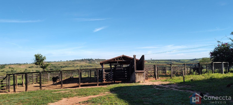 Imagem Imóvel à Venda, 8.080.000 m² em Centro - João Pinheiro