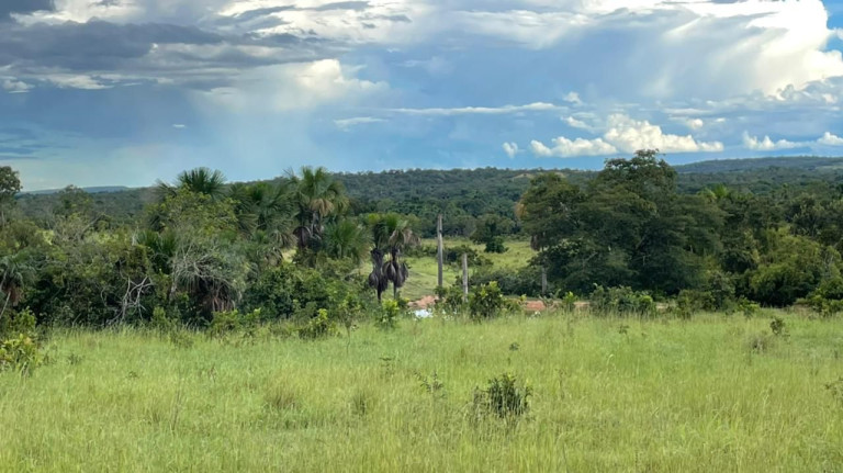 Imagem Fazenda à Venda, 500 m² em Zona Rural - Aliança Do Tocantins