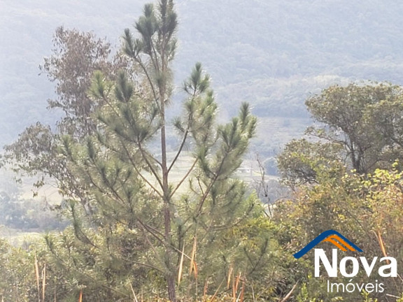 Imagem Imóvel à Venda, 120.000 m² em Linha Temerária - Nova Petrópolis Imagem Imóvel à Venda, 120.000 m² em Linha Temerária - Nova Petrópolis