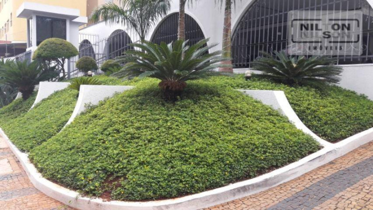 Imagem Apartamento com 1 Quarto para Alugar, 38 m² em Centro - Campinas Imagem Apartamento com 1 Quarto para Alugar, 38 m² em Centro - Campinas