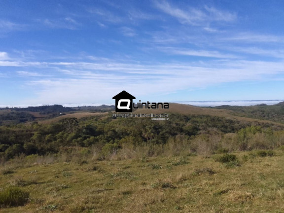 Imóvel à Venda, 410.000 m² em Centro - Santana Da Boa Vista