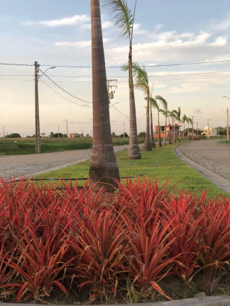 Imagem Terreno à Venda, 250 m² em Pavuna - Pacatuba Imagem Terreno à Venda, 250 m² em Pavuna - Pacatuba