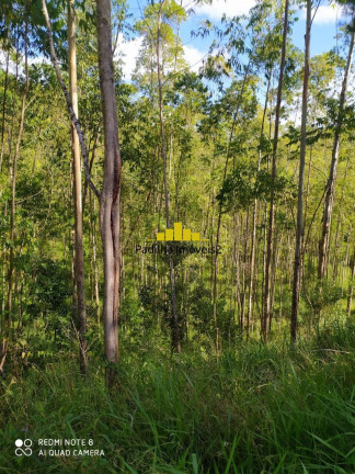Imagem Chácara à Venda, 25 m² em Rural - Pilar Do Sul