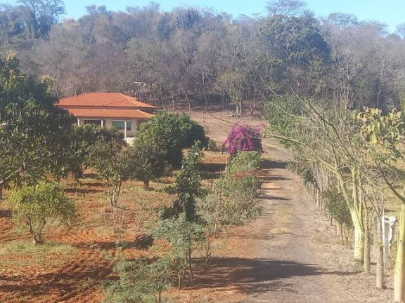 Imagem Fazenda à Venda, 55 m² em Rural - Porto Feliz Imagem Fazenda à Venda, 55 m² em Rural - Porto Feliz