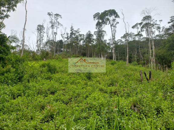 Imagem Terreno à Venda, 1.200 m² em Centro - Juquitiba Imagem Terreno à Venda, 1.200 m² em Centro - Juquitiba