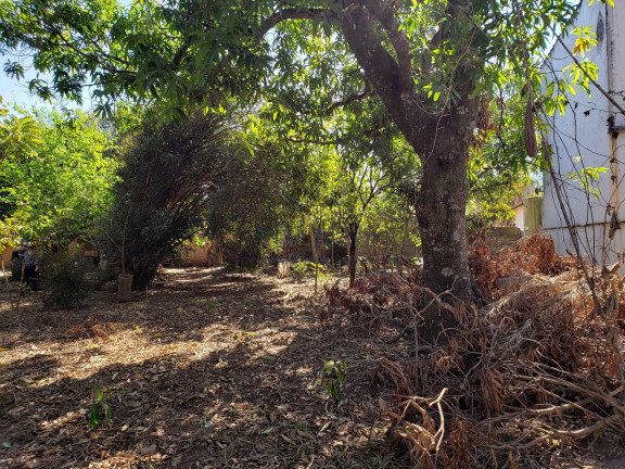 Imagem Fazenda à Venda, 1.782 m² em Vila Santa Fé - Pirassununga Imagem Fazenda à Venda, 1.782 m² em Vila Santa Fé - Pirassununga