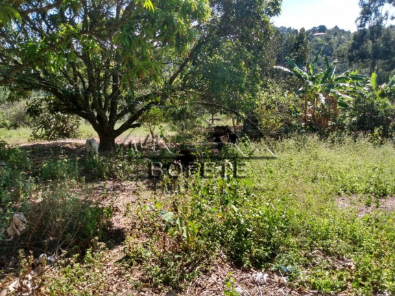 Imagem Imóvel com 1 Quarto à Venda, 21.696 m² em São Marcos - Bofete