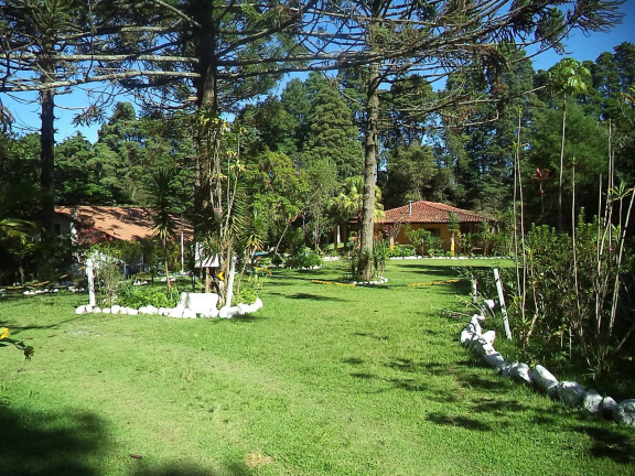 Imagem Chácara com 7 Quartos à Venda, 25.000 m² em Roseira - Piedade