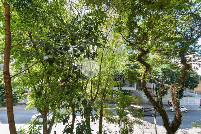 Imagem Apartamento com 3 Quartos à Venda, 292 m² em Santa Cecília - São Paulo Imagem Apartamento com 3 Quartos à Venda, 292 m² em Santa Cecília - São Paulo
