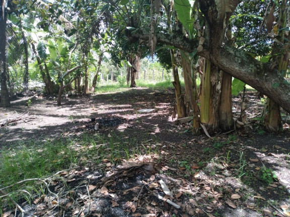 Imagem Terreno à Venda, 3.000 m² em Rural - Paudalho Imagem Terreno à Venda, 3.000 m² em Rural - Paudalho