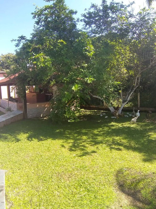 Imagem Chácara com 5 Quartos à Venda, 6.900 m² em Balneario Gaivotas - Itanhaém