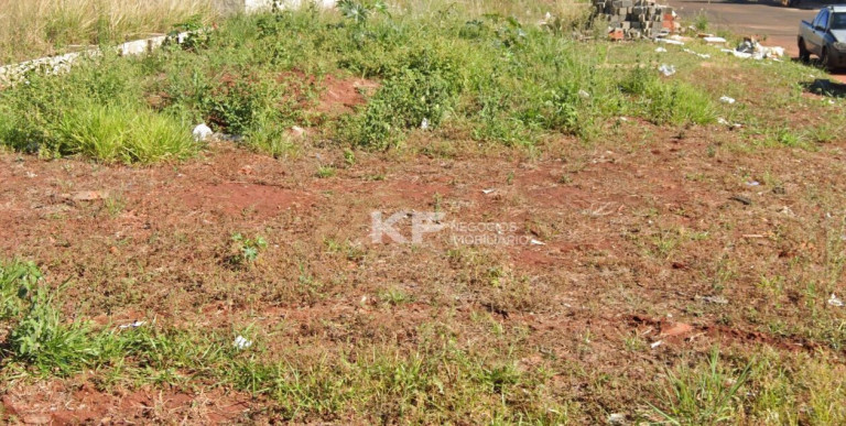 Imagem Terreno à Venda, 203 m² em Jardim Aliança - Cravinhos