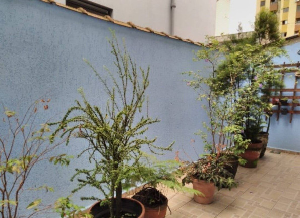 Imagem Casa com 2 Quartos à Venda, 71 m² em Embaré - Santos Imagem Casa com 2 Quartos à Venda, 71 m² em Embaré - Santos