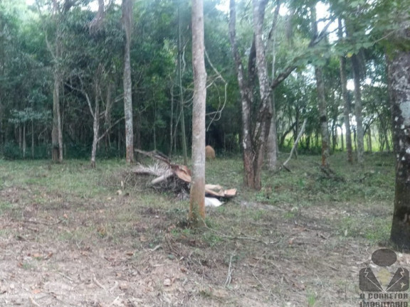 Imagem Imóvel com 2 Quartos à Venda, 33.000 m² em Aranha (brumadinho) - Brumadinho