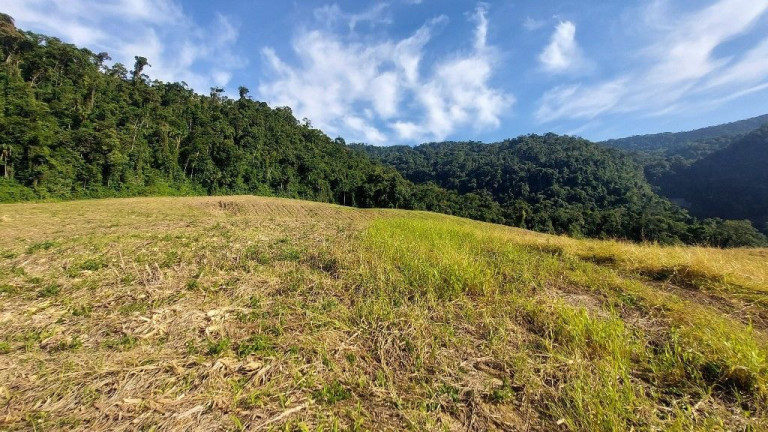 Imagem Terreno à Venda, 198.000 m² em Zona Rural - Presidente Nereu Imagem Terreno à Venda, 198.000 m² em Zona Rural - Presidente Nereu