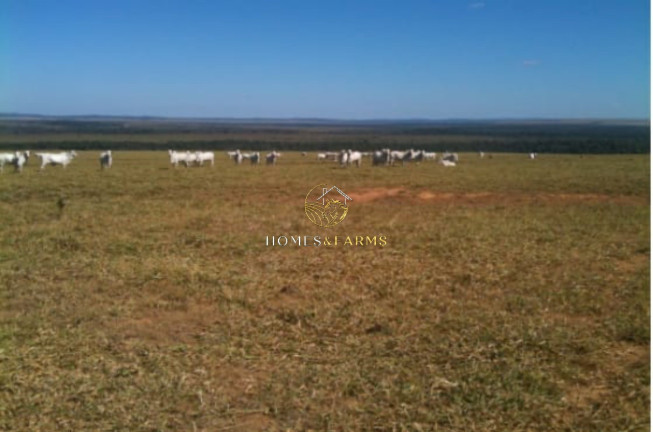 Imagem Imóvel com 3 Quartos à Venda, 7.546 m² em Zona Rural - Nobres Imagem Imóvel com 3 Quartos à Venda, 7.546 m² em Zona Rural - Nobres