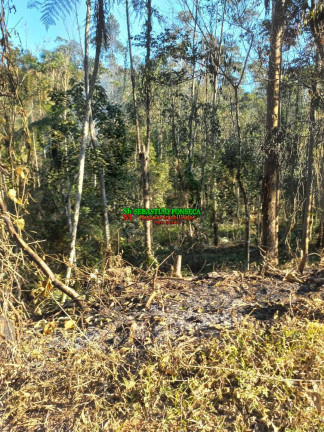 Imagem Chácara à Venda, 20.000 m² em Centro - Monteiro Lobato Imagem Chácara à Venda, 20.000 m² em Centro - Monteiro Lobato