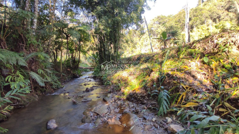 Imagem Imóvel à Venda, em Ribeirão Da Velha - Nova Trento Imagem Imóvel à Venda, em Ribeirão Da Velha - Nova Trento